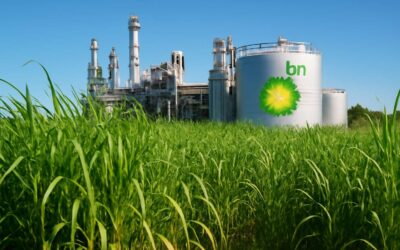 Biofuels BP: Driving Innovation and Sustainability in Renewable Energy Solutions