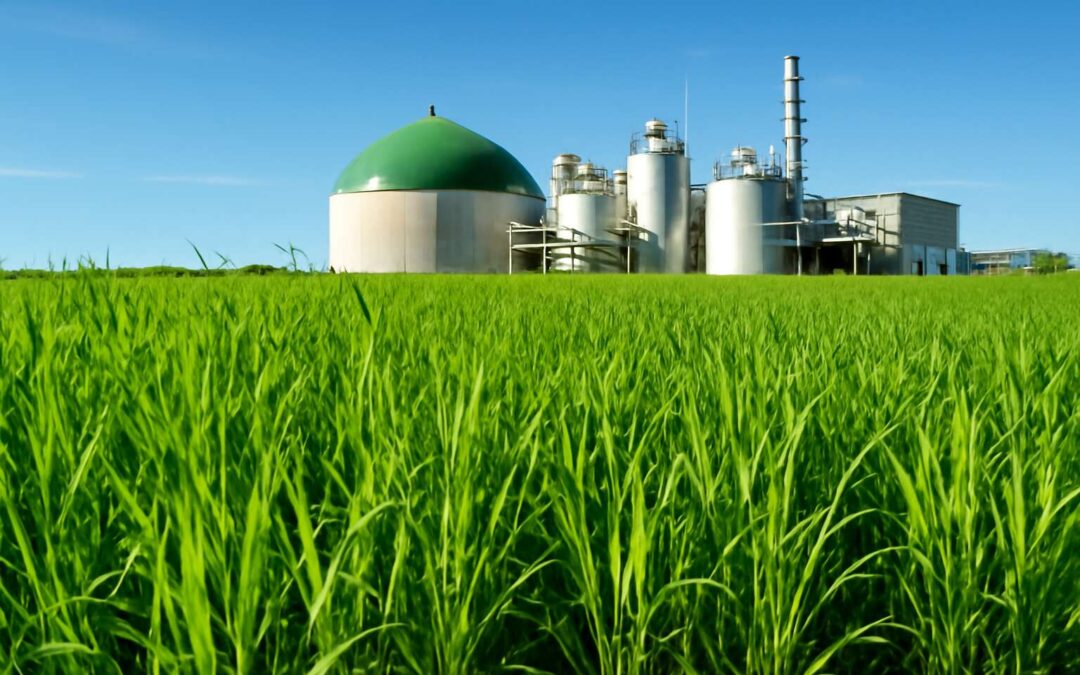 Biofuels are the sustainable energy solution shaping our future.