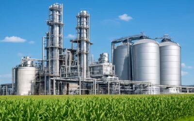 Reimagining Energy: biofuels bioproducts and biorefining for a sustainable future.
